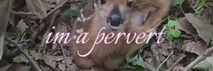 suvaquinho do ciel ⛧ banner