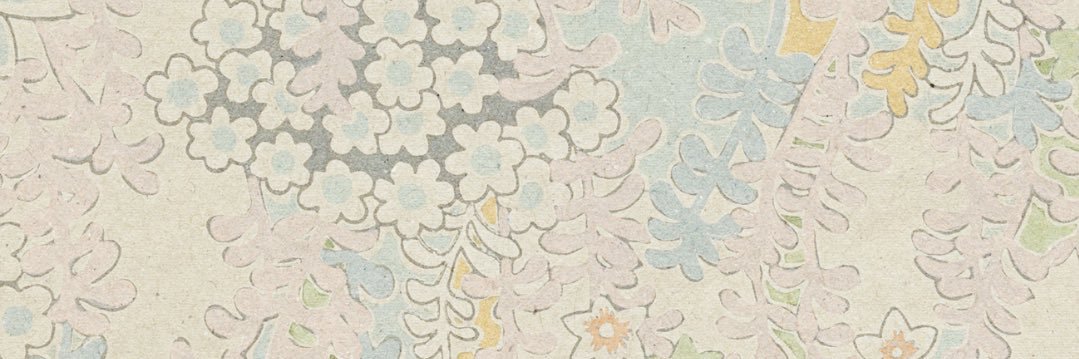 mollybalint's profile banner image