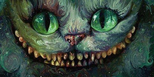 SofiDecaroli's profile banner image