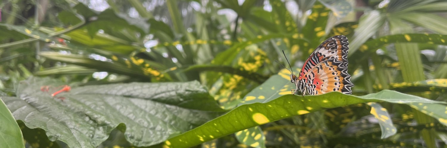 Jennifer M Hunter banner