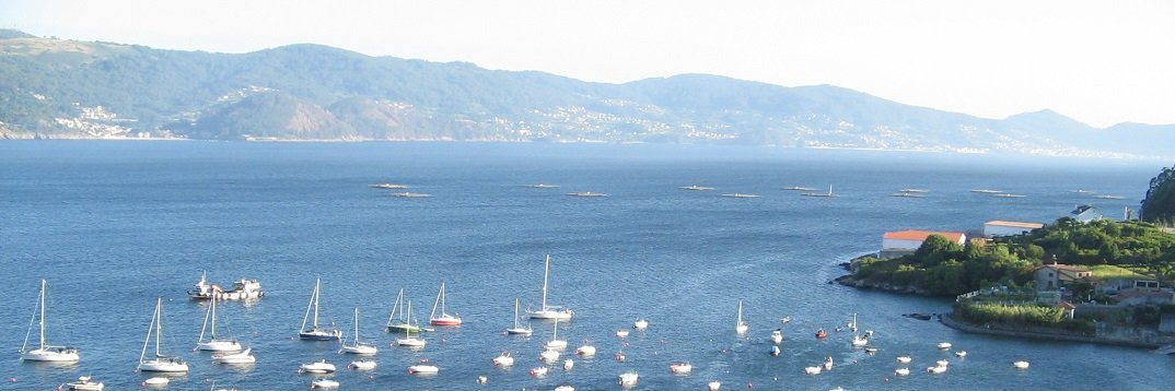 Álex Lorences banner