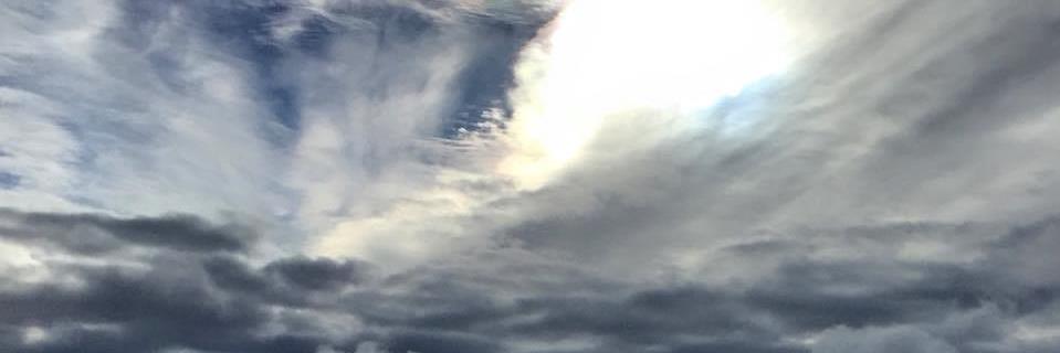 EnzaHadfield's profile banner image