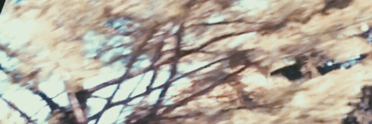 PerksOfBeingAbs's profile banner image