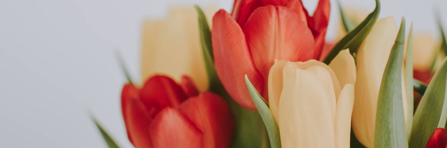 yolandaban_'s profile banner image