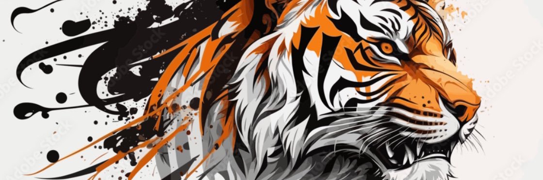 Tiger Basketball banner