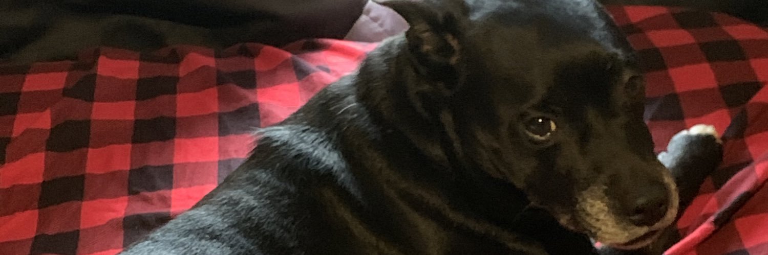 Garrom_'s profile banner image