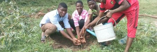 Sabine anoukoum banner