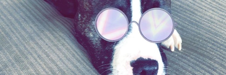 🌙 nella banner