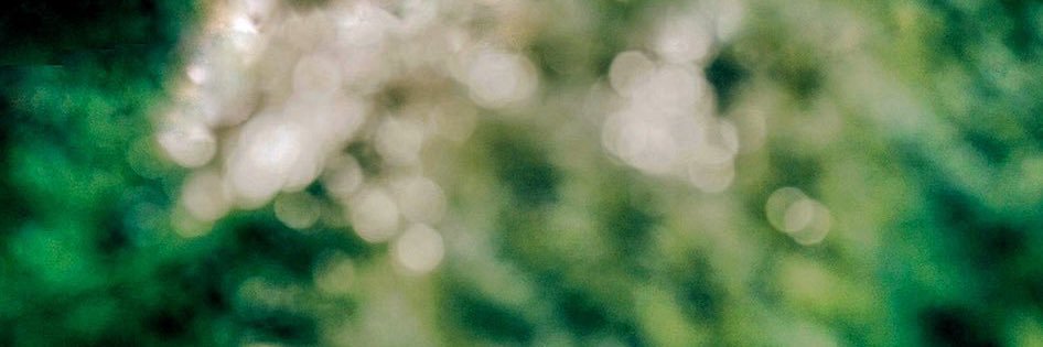 Asteria⁷ •᷄ɞ•᷅ | is seeing BTS banner