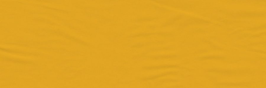 MileePalacios's profile banner image