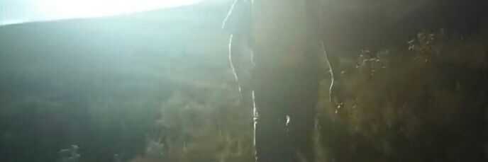 . banner