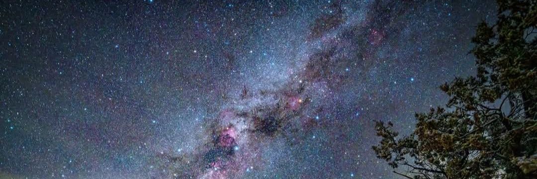 Results Over Intentions banner