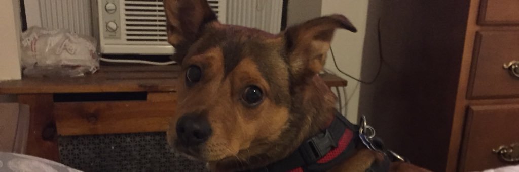 drobitusin's profile banner image