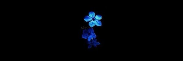 PewPewP_ Profile Banner