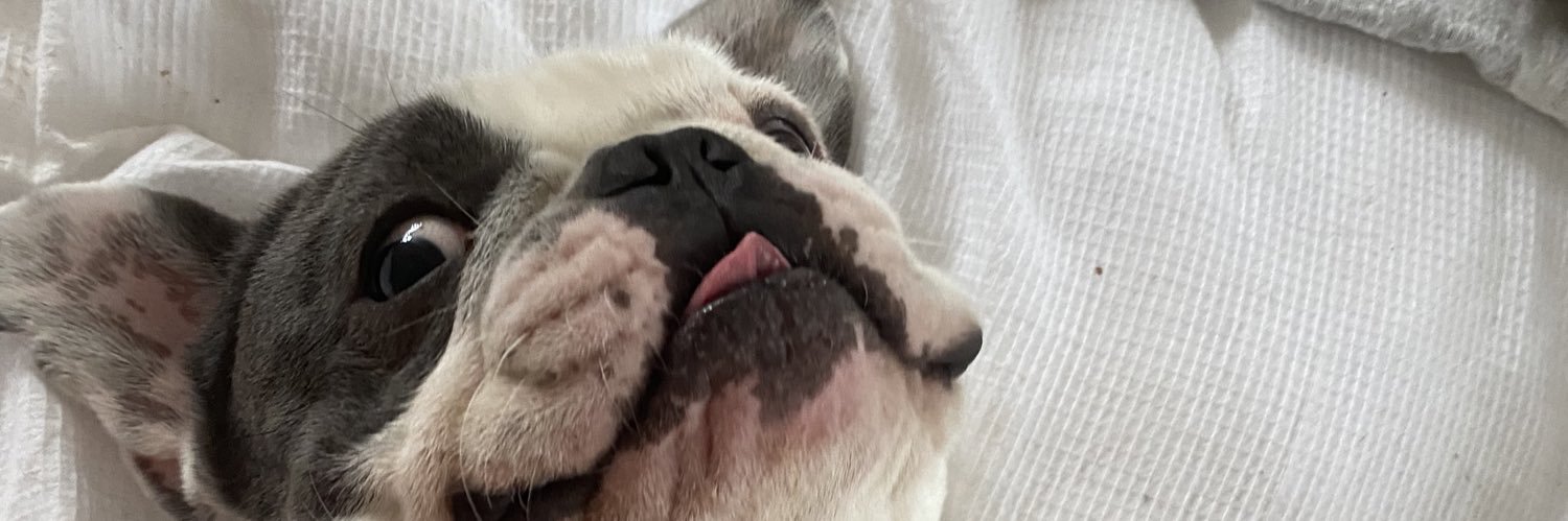calowiii's profile banner image