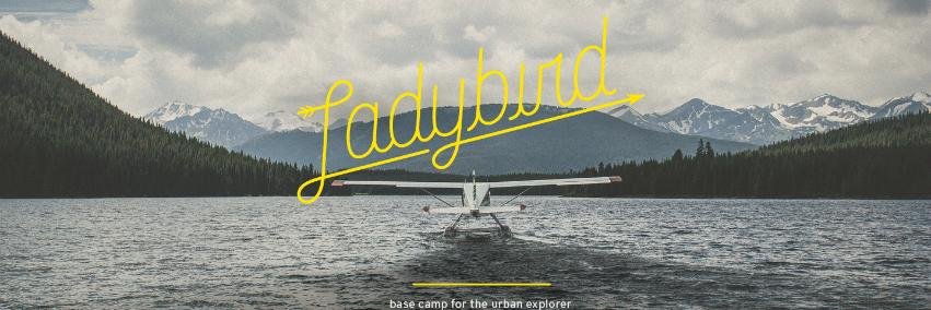 LadybirdAtlanta banner