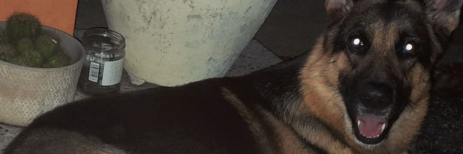 Arlanna_'s profile banner image