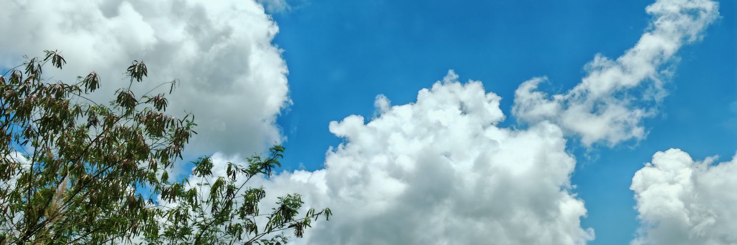 AroundMunira's profile banner image