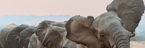sofiaa_san's profile banner image