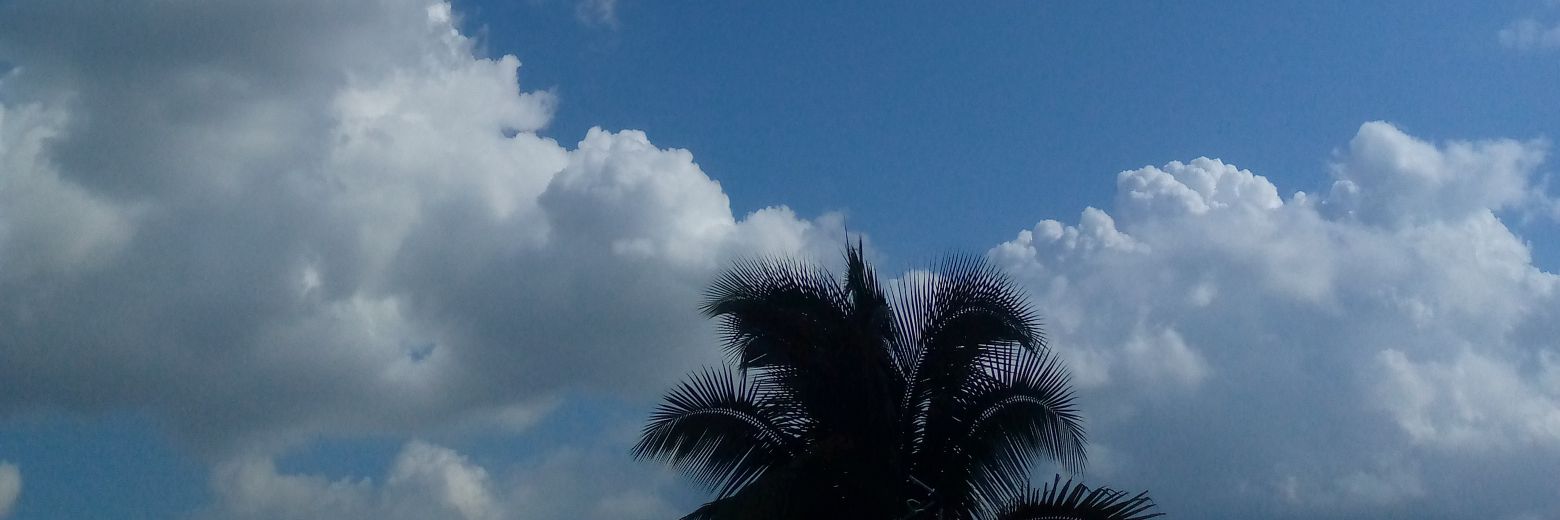 BN_ERICKA's profile banner image