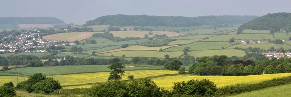 East Devon Watch banner