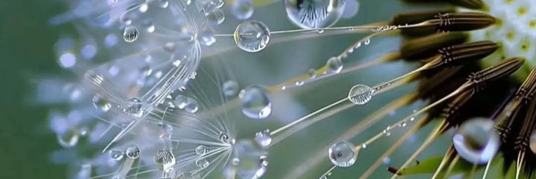 🏹Äñâ🫧🇸🇦 banner