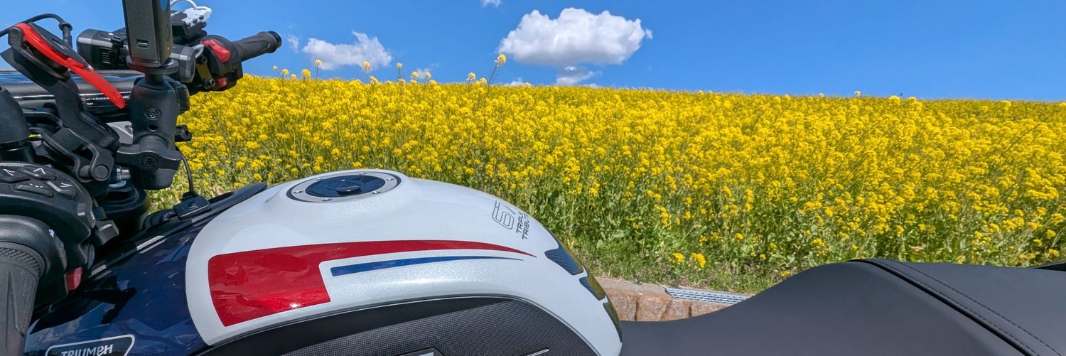 ★ゆうゆう🐑🏍🎀 banner