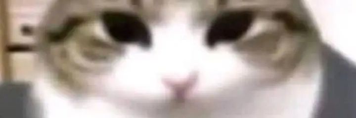 PerritoGamer34's profile banner image