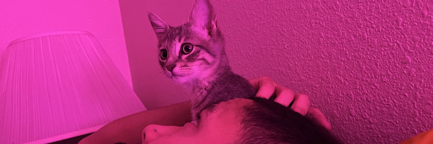 natcaat2's profile banner image