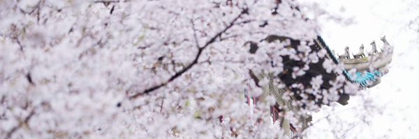 cccm_bkl Profile Banner