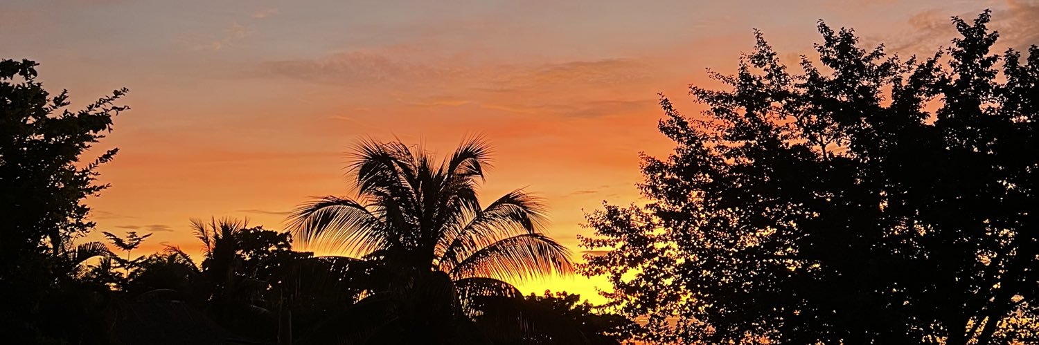 mrgtlln's profile banner image