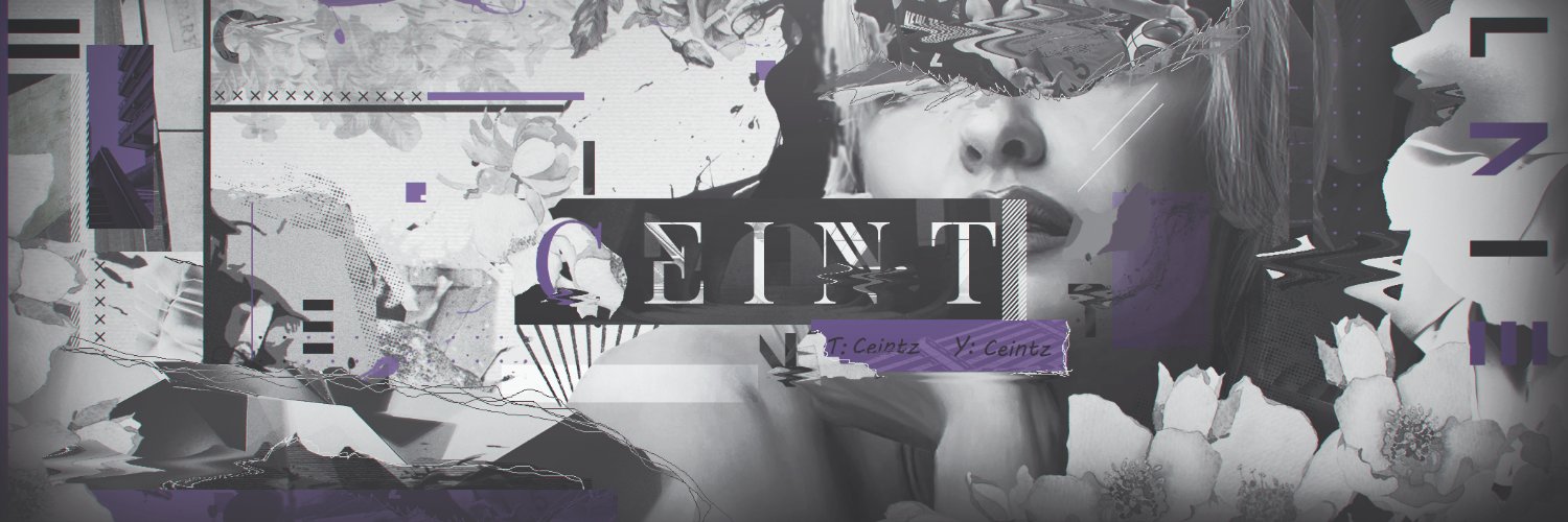CEINT banner