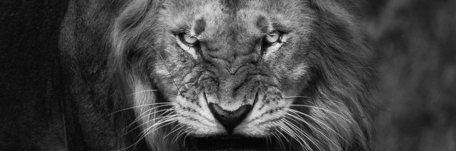 Austin_34Taylor's profile banner image