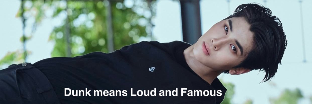 Nookynooky banner