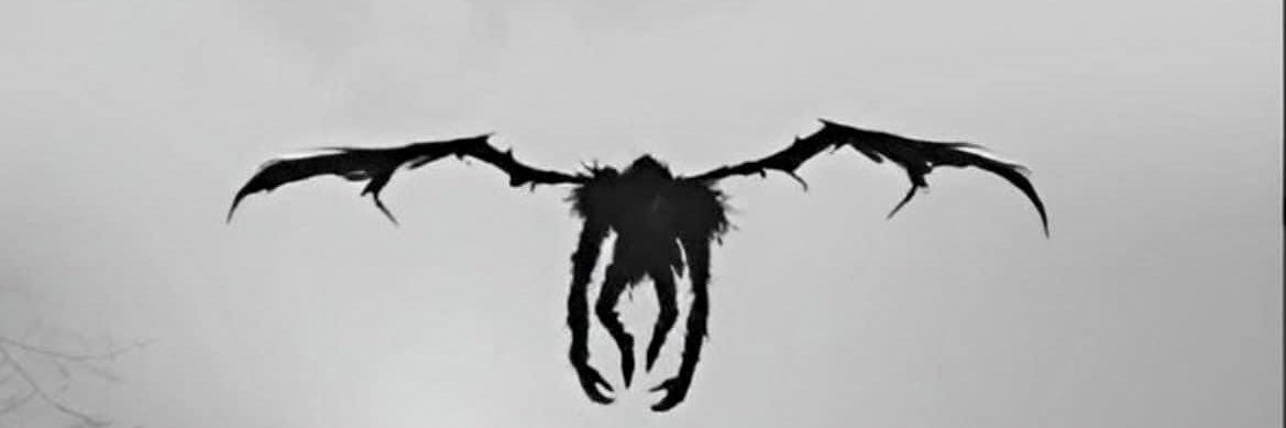 VĨ ÂN 2000 banner