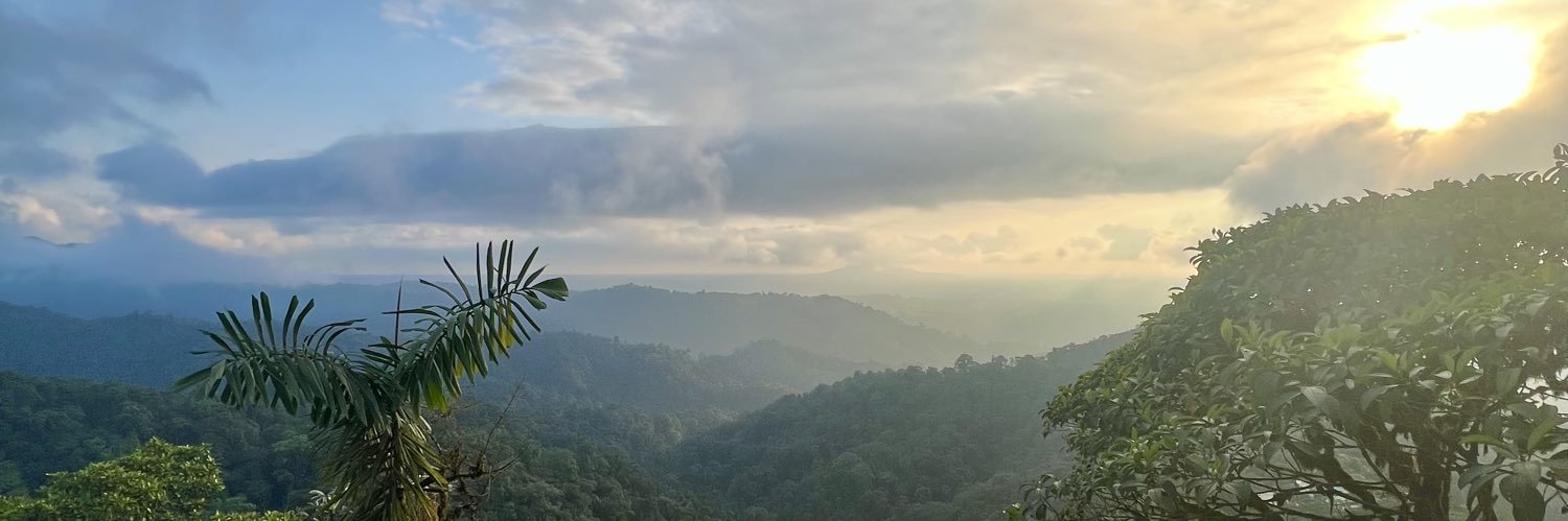 Courtney Spence banner