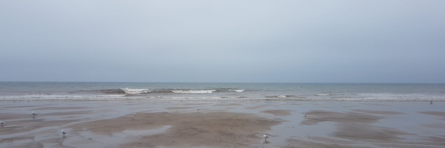 ⛥🔮👻witche tee👻🔮⛦ banner