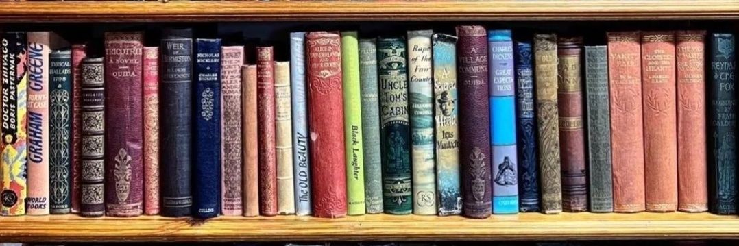 cecily_holland_writer banner