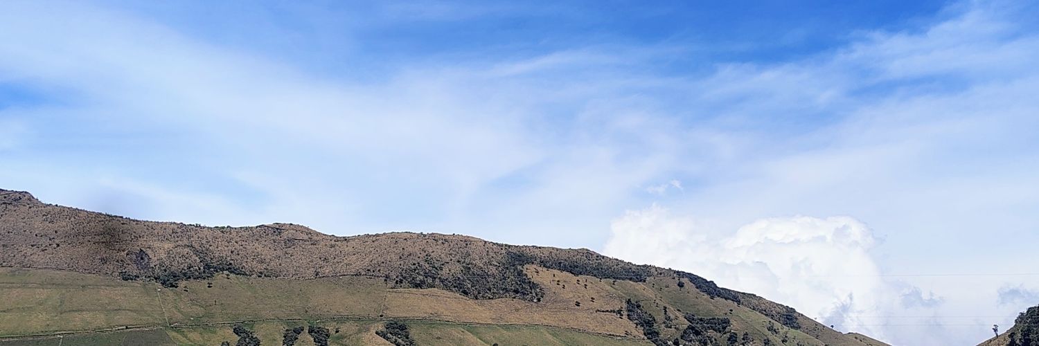 Maca_2501's profile banner image