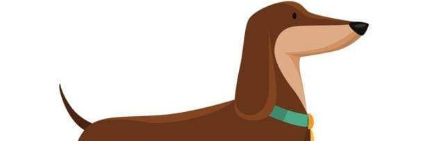 Dachshund banner