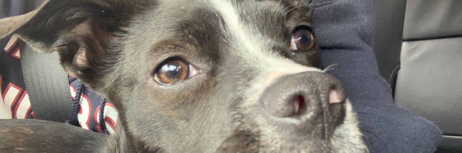 erinnnn8's profile banner image