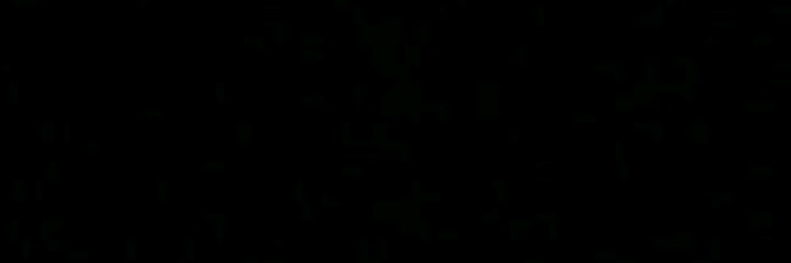 lebelloli's profile banner image