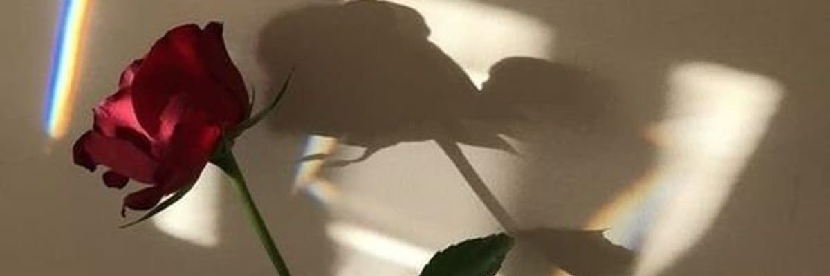 NatiiFernandez's profile banner image