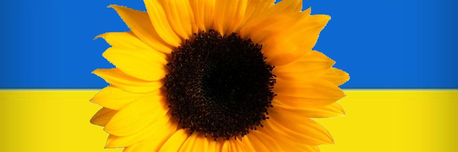 5Kehlee's profile banner image