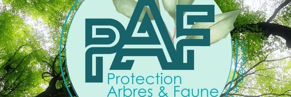 ProtectionArbre Profile Banner
