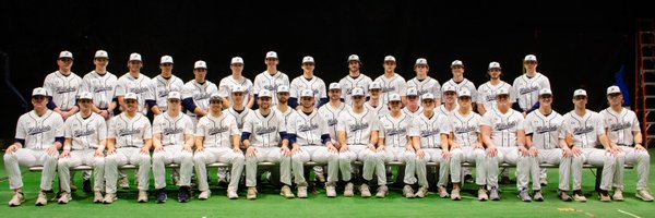 Hillsdale College Baseball Profile Banner