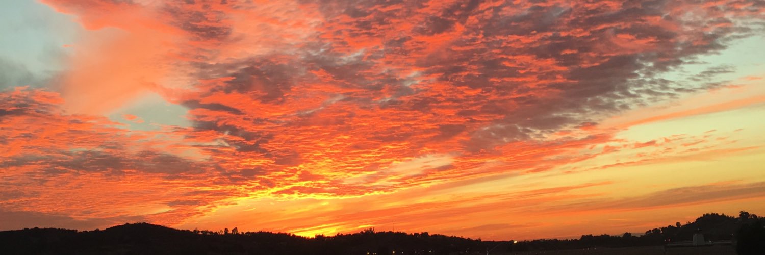 Robert Wedge IV banner