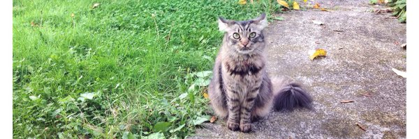 _maria Profile Banner