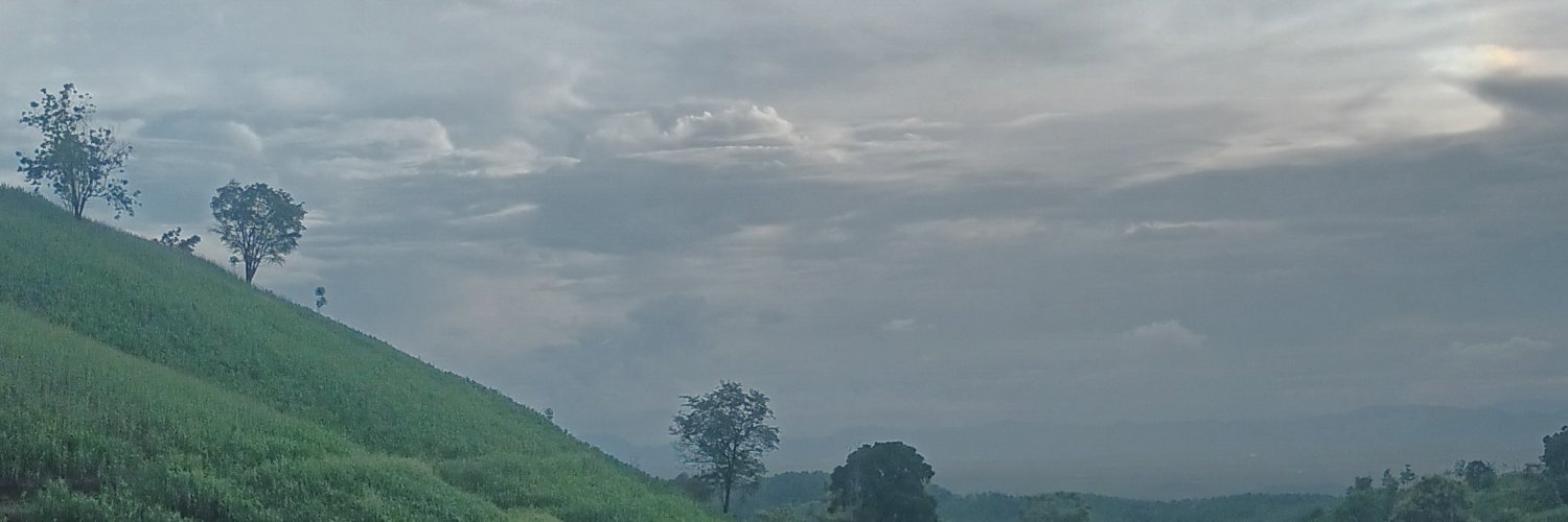 rt12571's profile banner image
