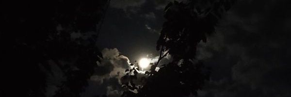 SCLxKey's profile banner image